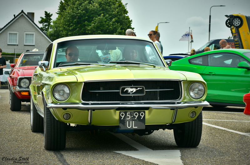 DSC 7141.geschaald