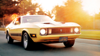 Verzamelpunt Mustang Fever