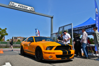 Mustang Valley 2024